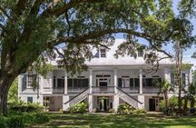 Swamp Boat and Plantation Tour with Shuttle from New Orleans