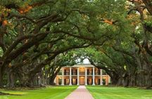 Swamp Boat and Plantation Tour with Shuttle from New Orleans