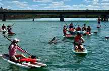Port Canaveral Kayak Tour Dolphins and Manatees Near Cruise Port