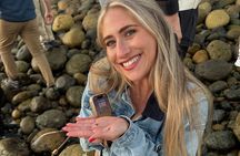 Tidepool Tours with a Marine Biologist