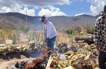 Authentic Mezcal Experience Oaxaca Small Group Local Producers