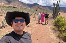 Authentic Mezcal Experience Oaxaca Small Group Local Producers