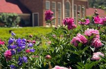 Private Mount Vernon and Arlington National Cemetery Tour