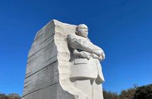 Private Washington DC Highlights Tour (5 Hours)