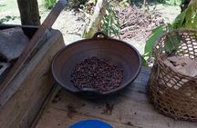 Chocolate Making Experience & Sacred Falls