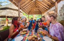 Adventure Falls Day Pass Historic Estate from Montego Bay Port