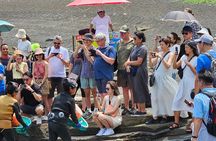 [Private] East Jeju UNESCO & Sea Women: Select EN Guide Level