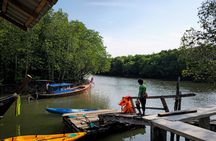 Mangrove Kayaking from Sunset to Bioluminescent Plankton