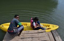 Mangrove Kayaking from Sunset to Bioluminescent Plankton