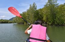 Mangrove Kayaking from Sunset to Bioluminescent Plankton