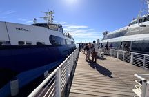 Robben Island Tour with Pre Booked Tickets and Transfers