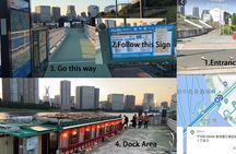 Tokyo Cherry Blossom Cruise: Sukiyaki/Tea ceremony&Shamisen