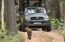 Wilpattu National Park Private Safari