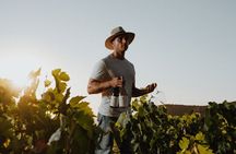 Vineyard Tour & Wine Tasting - Estate L’Heritage Korres YASTRA