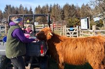Private Highland Adventure Castles, Coast and Country Life