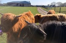 Private Highland Adventure Castles, Coast and Country Life