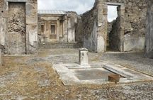 Pompeii and Naples Group Tour from Salerno Skip the Line Ticket