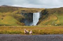 Reykjavik: Private South Coast Waterfalls, Beach and Glacier Tour