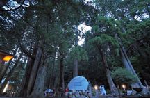 Koyasan Okunoin Night Tour Sacred Pilgrimage Experience