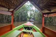 Cultural Excursion Through the Amazon w/ English Speaking Guide
