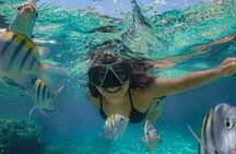 Phu Quoc 4 Island Speedboat Tour Snorkeling and Lunch