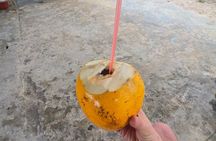 Cultural Excursion through the Amazon with a Local Guide
