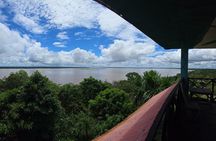 Cultural Excursion through the Amazon with a Local Guide