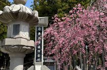 Okunoin Private Walking Tour