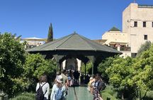 Marrakech Medrassa Ben Youssef Secret Garden and Medina Tour