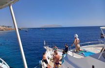Tiran Island Boat Trip Snorkeling and Lunch Included