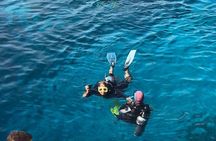 Tiran Island Boat Trip Snorkeling and Lunch Included