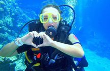 Tiran Island Boat Trip Snorkeling and Lunch Included