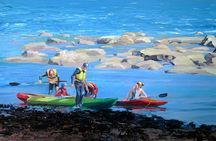Summer Kayaking Camp Kilkee Co Clare