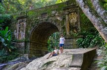 5h without track. PRIVATE SUV 4x4 TIJUCA Forest + fotog.