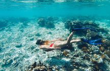 La Paz and Balandra Beach Catamaran Experience from Los Cabos