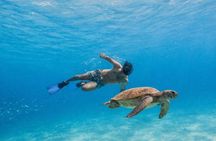 La Paz and Balandra Beach Catamaran Experience from Los Cabos