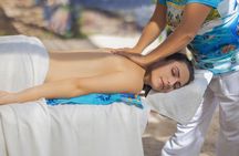 Cozumel Park Admission with Relaxing Massage