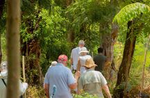 Kilimanjaro Cultural Safari Six Day Private Tour