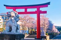 Buddha, Bamboo & Zen - Bespoke Kamakura Private Walking Tours