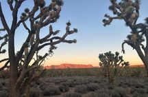 Valley of Fire & Grand Canyon West Tour from Las Vegas