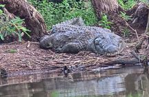 Full Day Game Drive in Akagera National Park