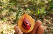 Stone Town and Spice Farm Cultural Tour