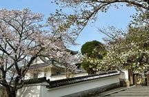 Kyoto Satoyama Cycling with Lunch and English Guide