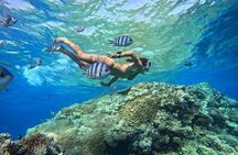 Hula Hula Island with Glass Boat & Lunch from Hurghada