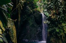 Mindo Cloud Forest Private Tour Nature wildlife Experience
