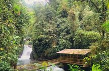 Mindo Cloud Forest Private Tour Nature wildlife Experience