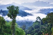 Mindo Cloud Forest Private Tour Nature wildlife Experience