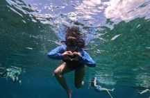 Shared Snorkeling Tour Playa El Cielo in Cozumel