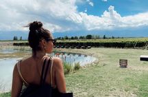 Private Uco Valley Wine Tour: 3 Wineries, Malbec Tasting &Transfer