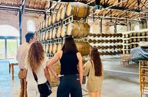 Private Uco Valley Wine Tour: 3 Wineries, Malbec Tasting &Transfer